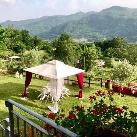 Agriturismo Il Frutteto Ghivizzano Екстериор снимка